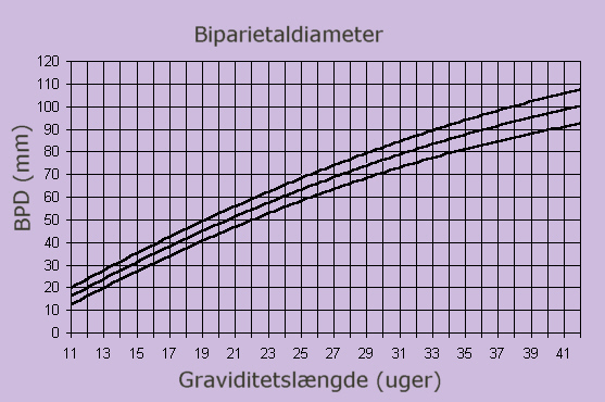 BIPARIETAL DIAMETER