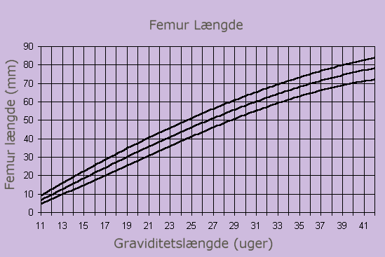 FEMUR LÆNGDE