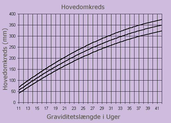 Hovedomkreds