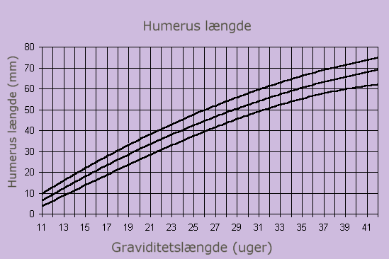 HUMERUS LÆNGDE